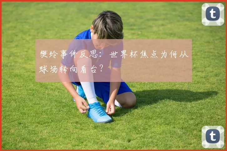 樊玲事件反思：世界杯焦点为何从球场转向看台？