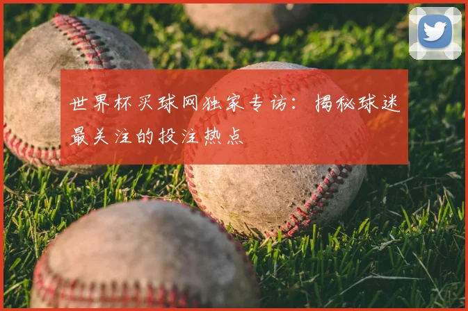 世界杯买球网独家专访：揭秘球迷最关注的投注热点