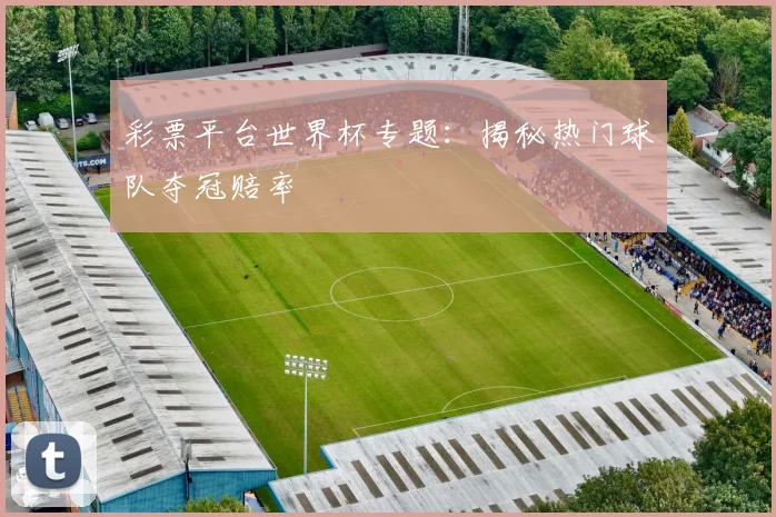 彩票平台世界杯专题：揭秘热门球队夺冠赔率