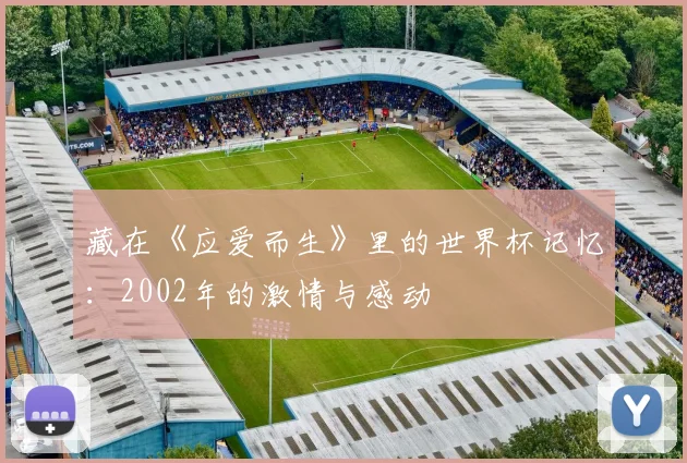 藏在《应爱而生》里的世界杯记忆：2002年的激情与感动