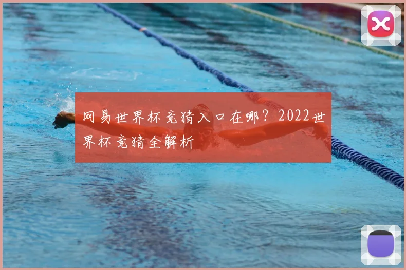 网易世界杯竞猜入口在哪？2022世界杯竞猜全解析