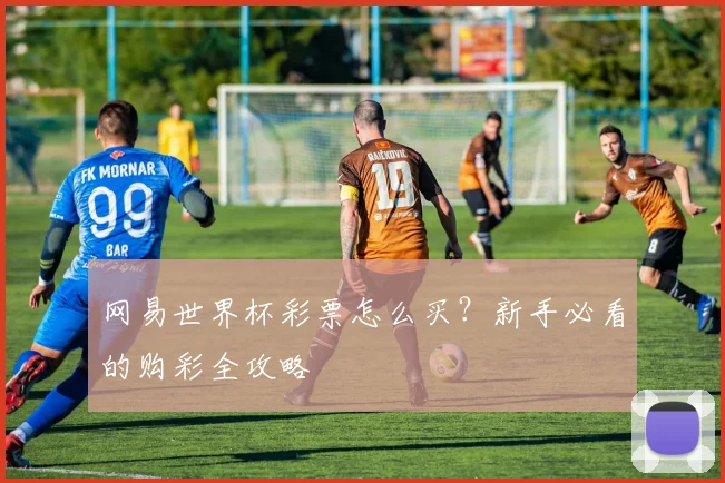 网易世界杯彩票怎么买？新手必看的购彩全攻略