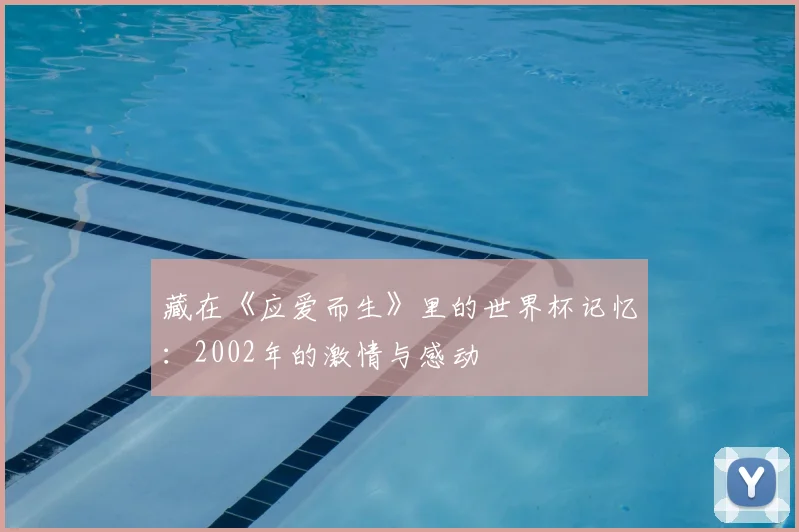 藏在《应爱而生》里的世界杯记忆：2002年的激情与感动
