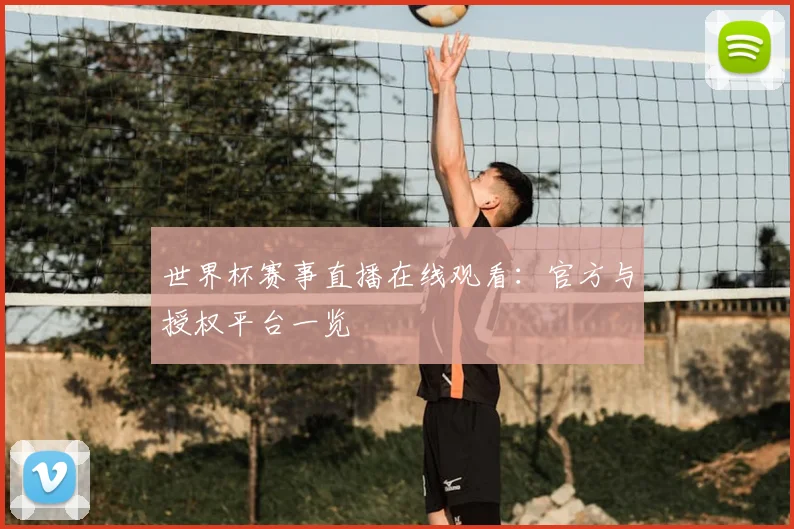 世界杯赛事直播在线观看：官方与授权平台一览
