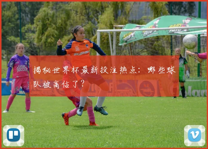 揭秘世界杯最新投注热点：哪些球队被高估了？