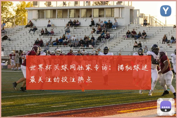 世界杯买球网独家专访：揭秘球迷最关注的投注热点