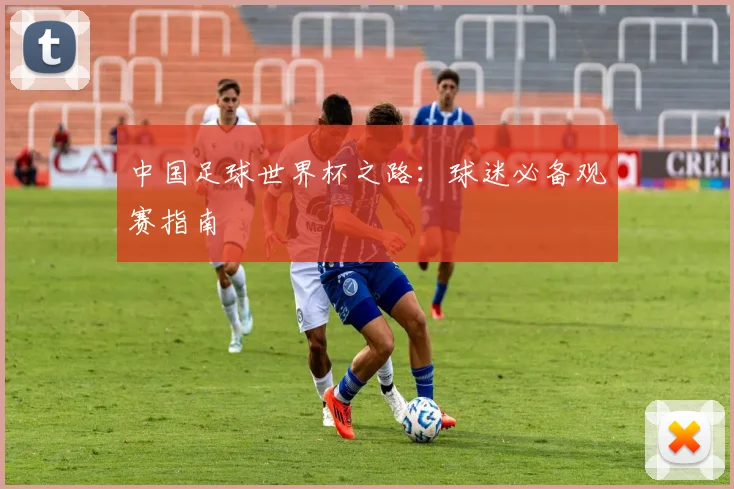 中国足球世界杯之路：球迷必备观赛指南