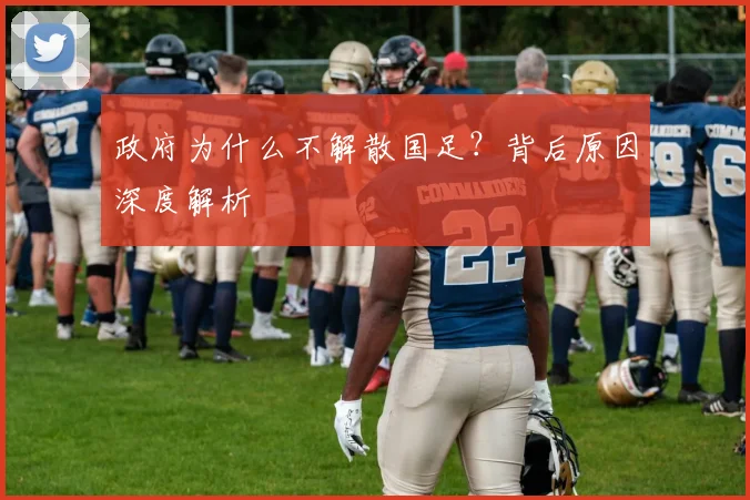 政府为什么不解散国足？背后原因深度解析