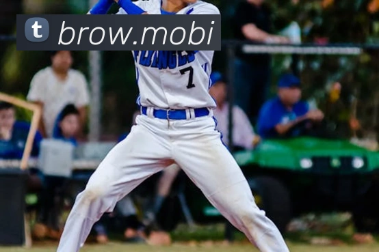 开云手机网页登录网页APP 封面图